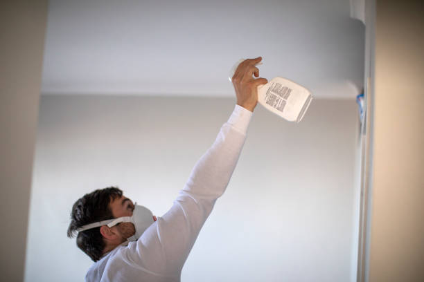 Office Mold Removal Services in Port Byron, NY