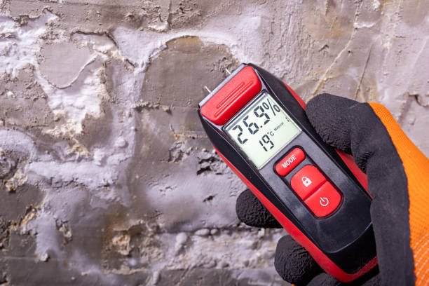 Best Mold Testing  in Port Byron, NY