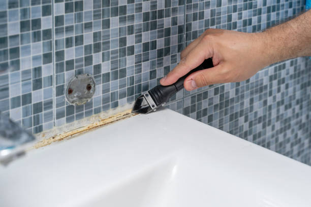 Best Fast Mold Removal  in Port Byron, NY